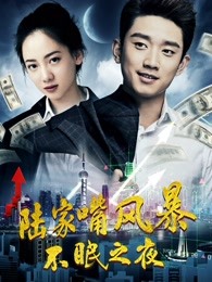 陆家嘴风暴:不眠之夜海报